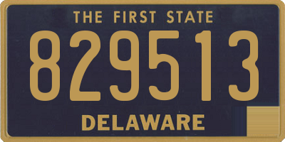DE license plate 829513