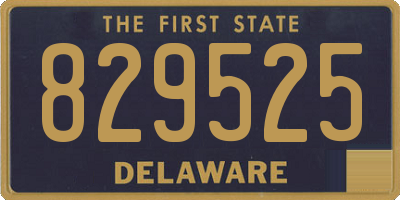 DE license plate 829525