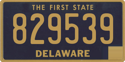 DE license plate 829539