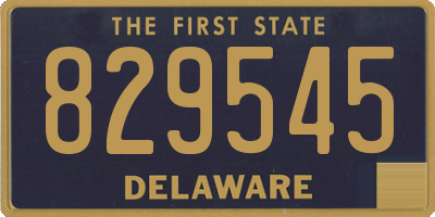 DE license plate 829545