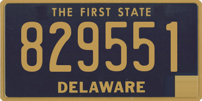 DE license plate 829551