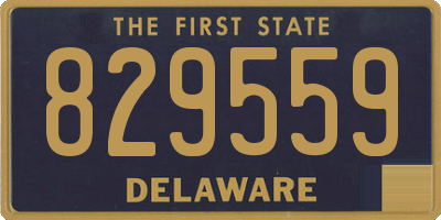 DE license plate 829559