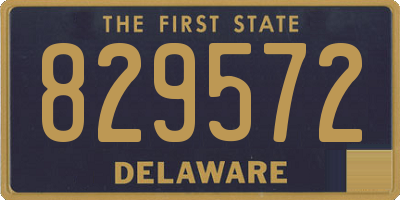 DE license plate 829572