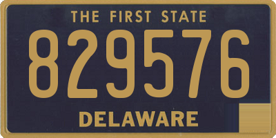 DE license plate 829576