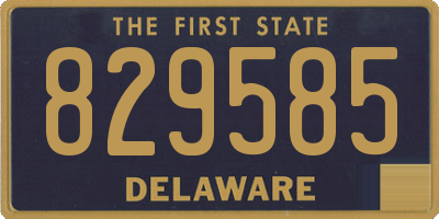 DE license plate 829585