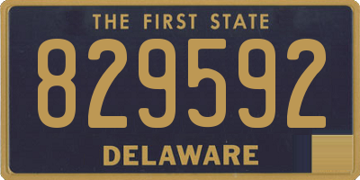 DE license plate 829592