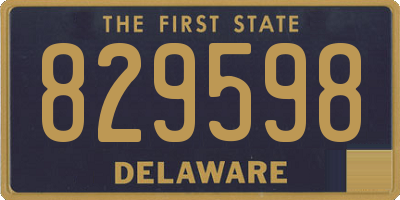 DE license plate 829598