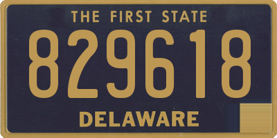 DE license plate 829618