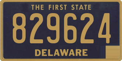 DE license plate 829624