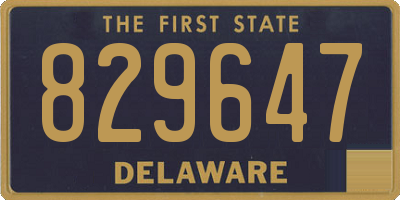 DE license plate 829647