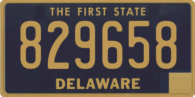 DE license plate 829658