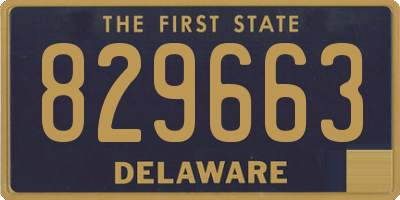 DE license plate 829663