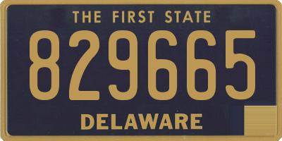 DE license plate 829665
