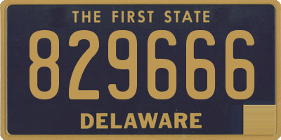 DE license plate 829666
