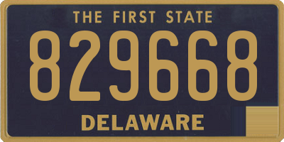 DE license plate 829668