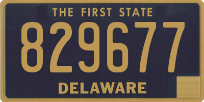 DE license plate 829677
