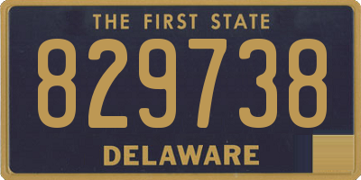 DE license plate 829738