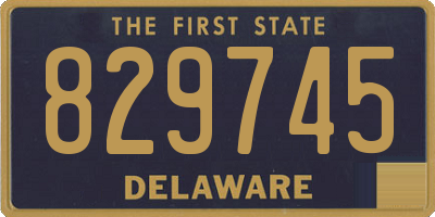 DE license plate 829745