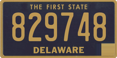 DE license plate 829748