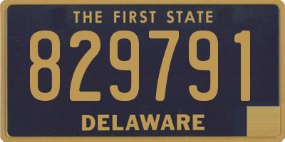 DE license plate 829791