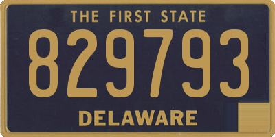 DE license plate 829793