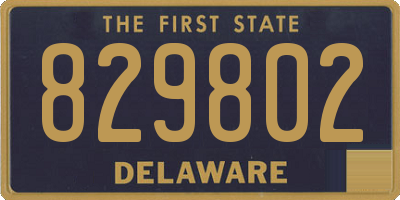 DE license plate 829802