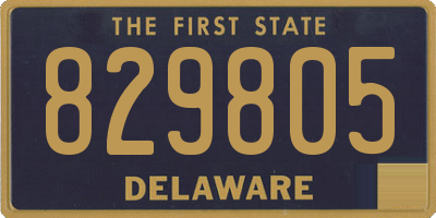 DE license plate 829805