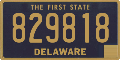 DE license plate 829818