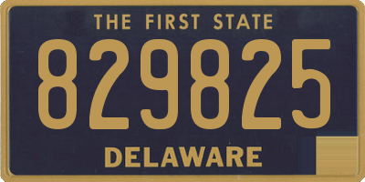 DE license plate 829825