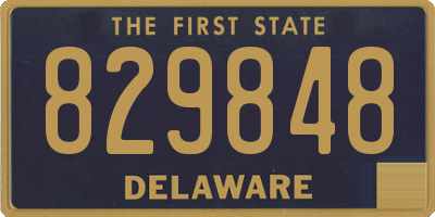 DE license plate 829848