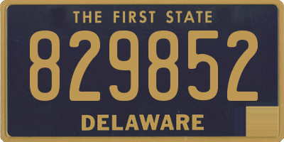DE license plate 829852