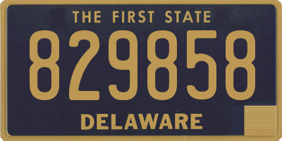 DE license plate 829858