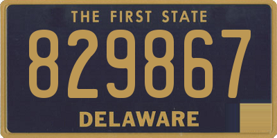 DE license plate 829867