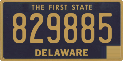 DE license plate 829885