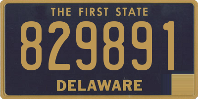 DE license plate 829891