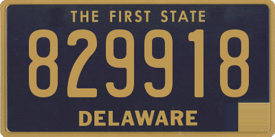 DE license plate 829918