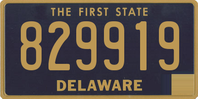 DE license plate 829919