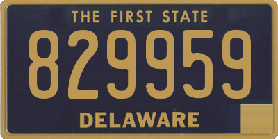 DE license plate 829959