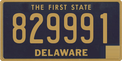 DE license plate 829991