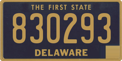 DE license plate 830293