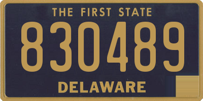 DE license plate 830489