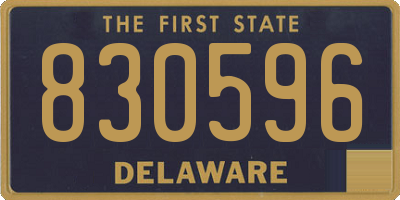 DE license plate 830596