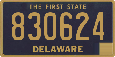 DE license plate 830624