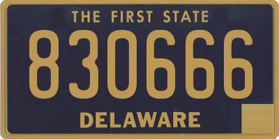 DE license plate 830666