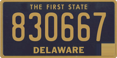 DE license plate 830667