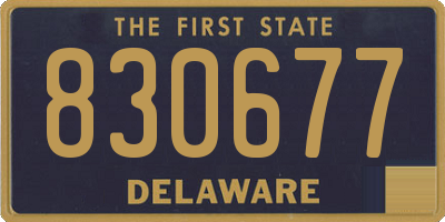 DE license plate 830677
