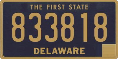 DE license plate 833818