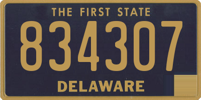DE license plate 834307