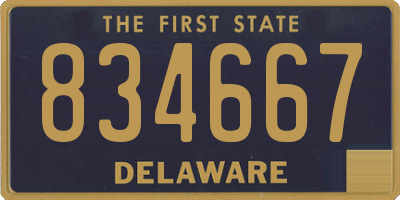 DE license plate 834667