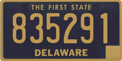DE license plate 835291